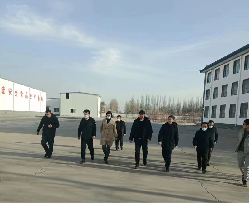 石嘴山市副市長、惠農(nóng)區(qū)委書記王宇翔蒞臨寧夏興康恒潤農(nóng)業(yè)科技發(fā)展有限公司調(diào)研