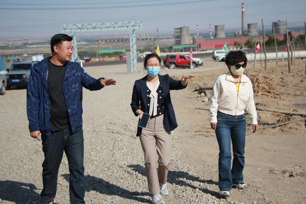 石嘴山市農(nóng)業(yè)農(nóng)村局副局長徐永霞、農(nóng)經(jīng)中心主任王曉斌一行蒞臨基地檢查指導(dǎo)