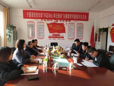 寧夏岳氏黨支部召開“不忘初心，牢記使命”主題教育專題組織生活會(huì)